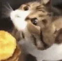 Gluttony