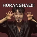 hoshihoranghae