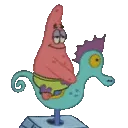 seahorseridepatrick