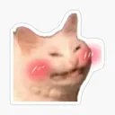 Hehecat hehecat Discord Emoji