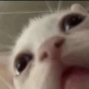 dafuk