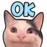 Cat Ok catok Discord Emoji