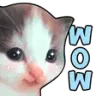 Cat Wowie Discord Emoji