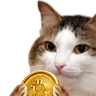 kiisucrypto Discord Emoji
