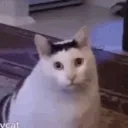 huh