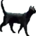 catstarfield Discord Emoji