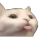 blep_mlem_cat_silly