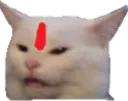 ysp_sanskaari ysp_sanskaari