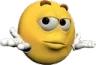 pohui pohui