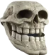 Skull_Troll