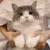 catrolled