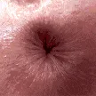 butthole