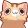 nekoDerp