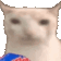 CatOkEat Discord Emoji