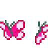 zbutterfly1