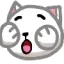 cannot_see_cat