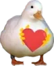 ducklove ducklove