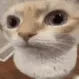uuh uuh