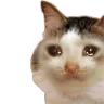 sad