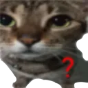 2cat_huh Discord Emoji