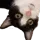 Noomeowy Discord Emoji