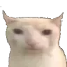 CM_SuperCat
