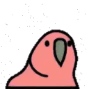 parrotdance