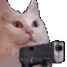 Gun