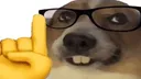 NerdDog