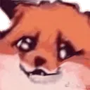 gif27