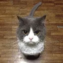 hizku