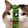 kiisu_pepe Discord Emoji