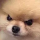 bruh