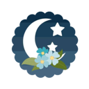 noctofloric noctofloric