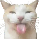 v_cattongue Discord Emoji