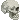 _skull _skull