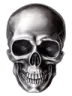 skull4