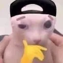 CatRizz
