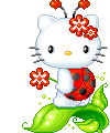 ladybug