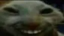 xdd xdd