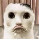 whataflop