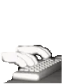 typing