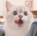 xx_kittylick Discord emoji