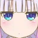 Stare