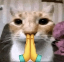 praystare Discord emoji