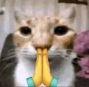 praystare praystare