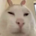 ineedzaza