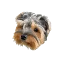WAYTOOBB WAYTOOBB