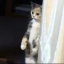 scared