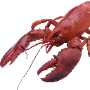 emoji_101